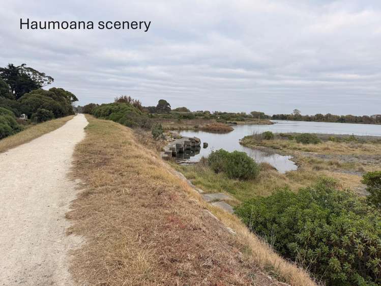 53 Haumoana Road Haumoana_9