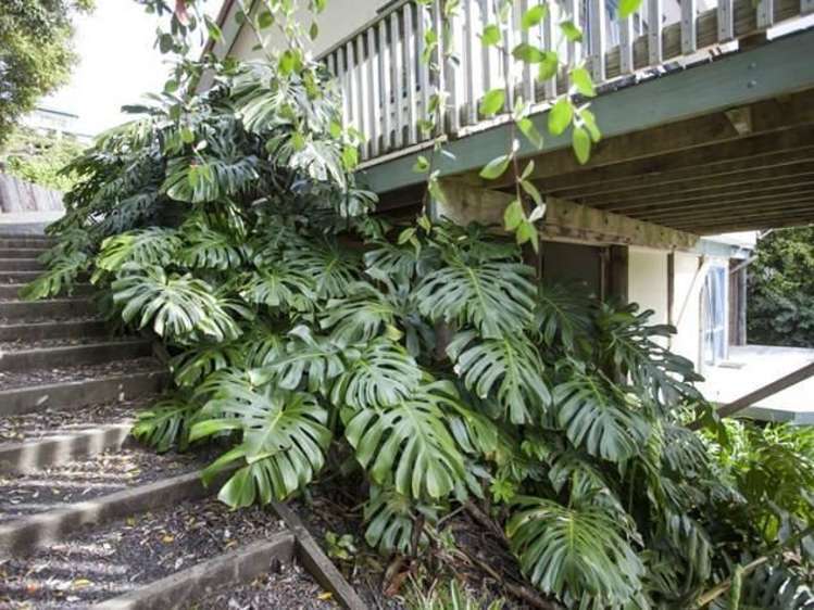 112 Tukere Drive Whangamata_14