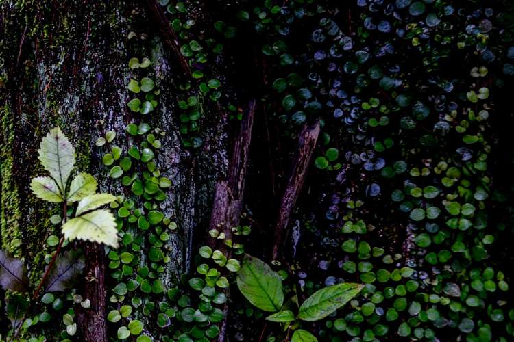 3454 State Highway 6 Barrytown_13