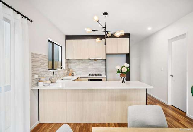 26B Goodfellow Lane Flat Bush_3