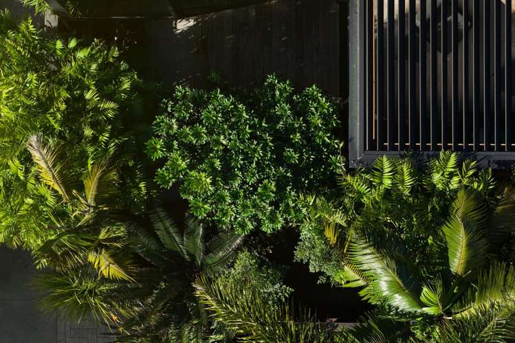 18B Maunganui Road Mount Maunganui_19