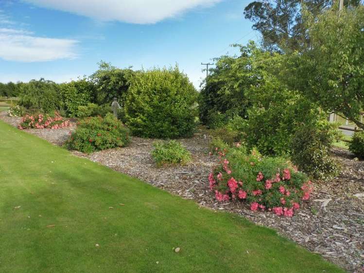 113 Downs Road Geraldine_2