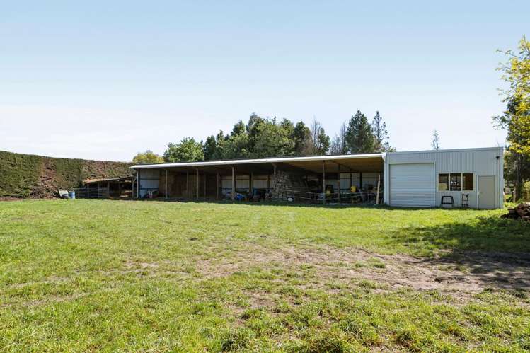 194 High Street Leeston_34