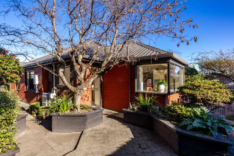 39a Percy Street Blenheim Central_24