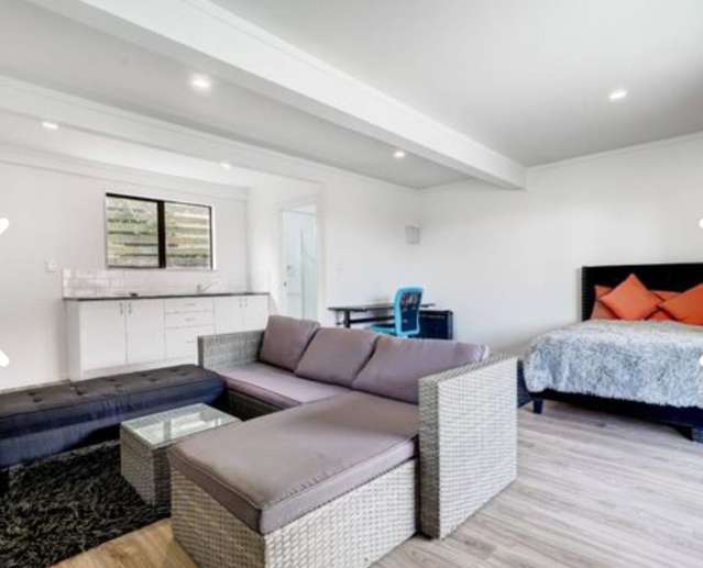 29B Ellis Avenue Mount Roskill_1