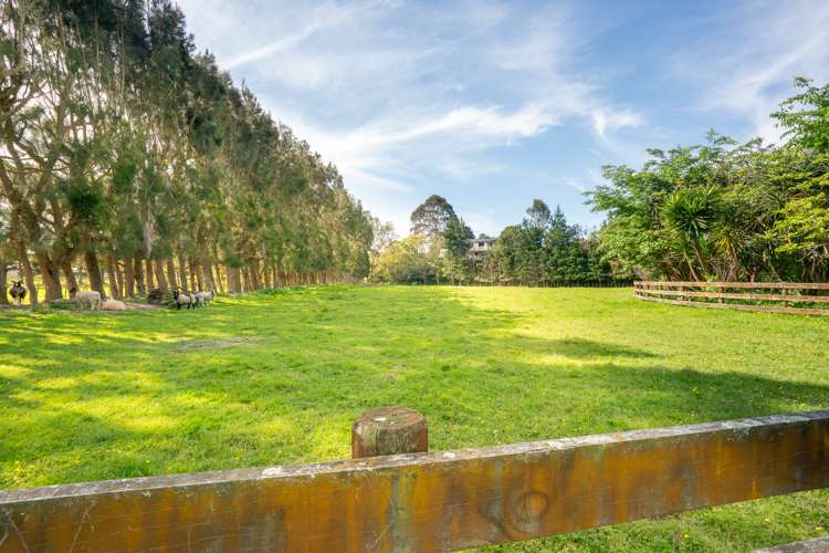 48 Elizabeth Street Waikanae_37