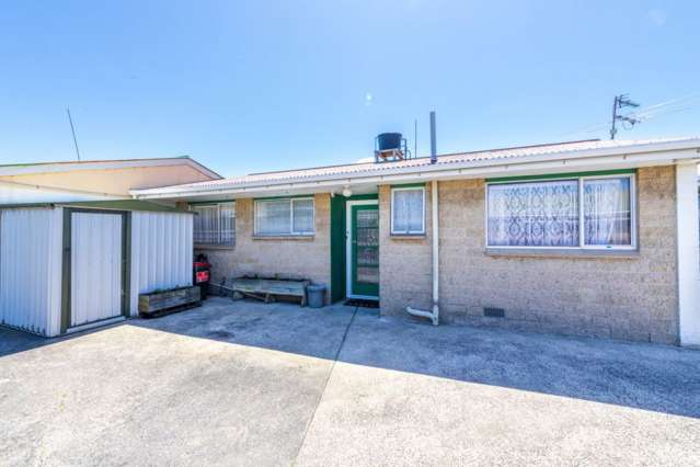 14f Wesley Street South Dunedin_1