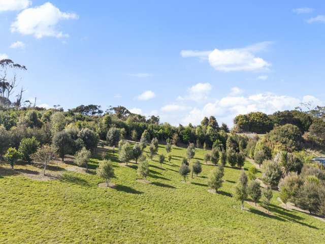 401 Peach Hill Road Ramarama_4
