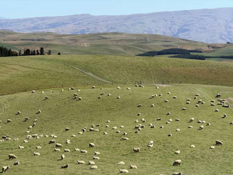 665-901 Tima Burn Road Teviot_32