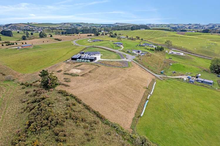 Pukeko Lane Weston_5