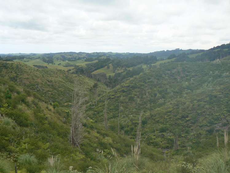 Mangatoetoe Road Kaitaia_14