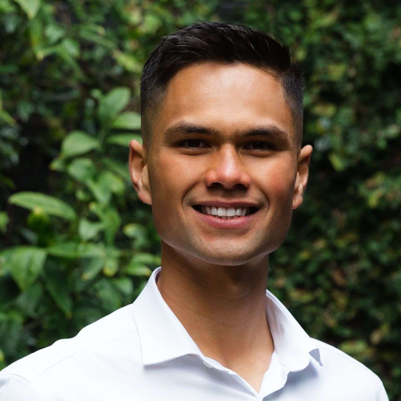 89 Walker Road Point Chevalier Auckland City Houses for Sale