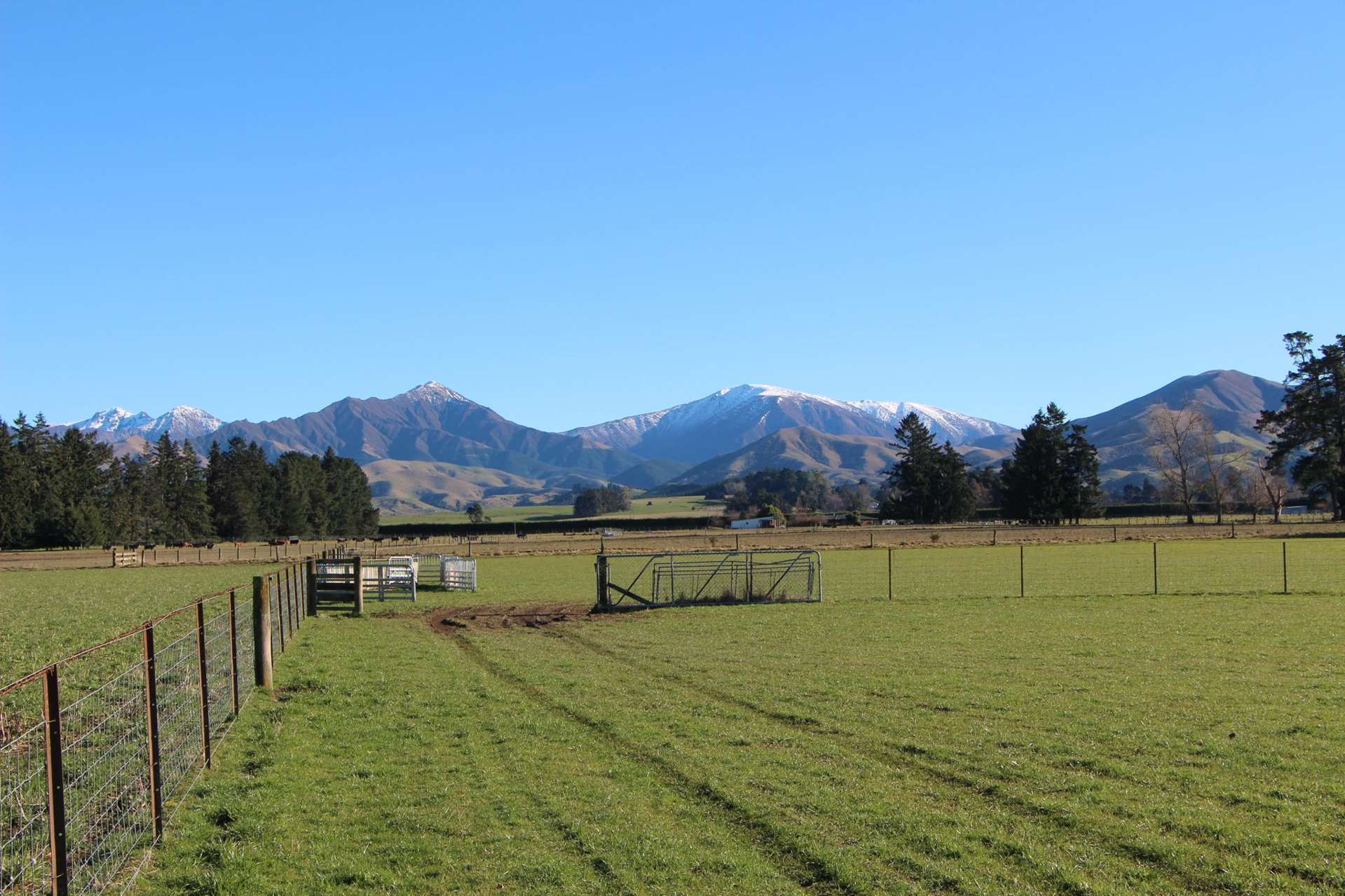 Woodbury Road Geraldine_0