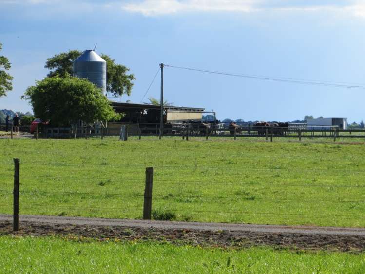 95 Bowler Road Te Aroha_25