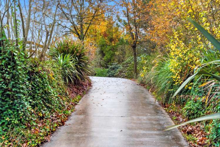 1001 Whirinaki Valley Road Ngakuru_25