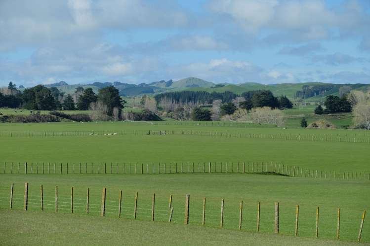 63 Hamilton Road Dannevirke_12