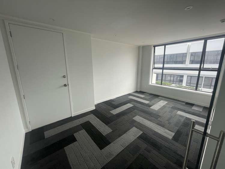 97 Manukau Road Epsom_6