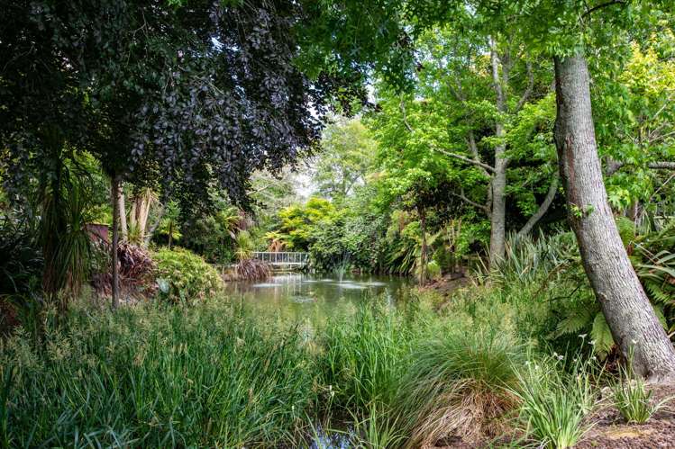 2 Heron Court Te Kowhai_40