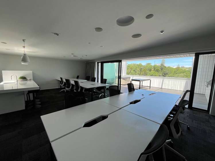 23 Falcon Street Parnell_4