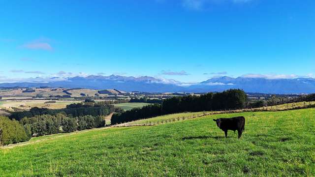 126 Ridgedale Road Te Anau_1