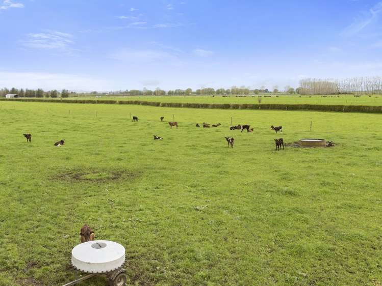 26 Schollum Road Eureka_8