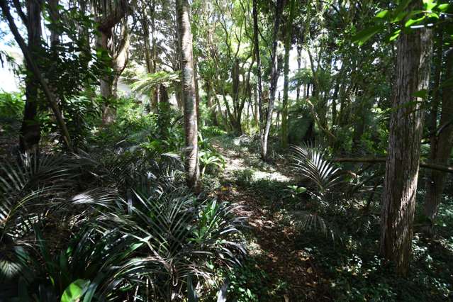 1/51 Hill Street Warkworth_3