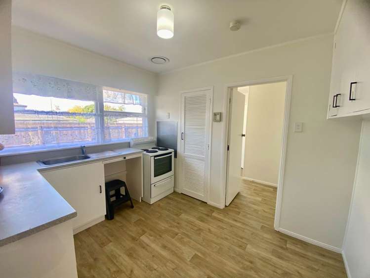 Taonui Street Rosehill_4