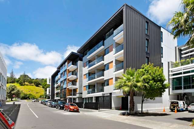 219/43 Edwin Street Mount Eden_2