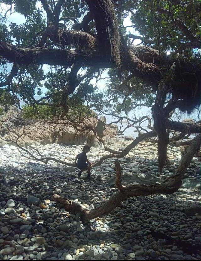 Lot 4/303 Waiaua Road Hihi_3