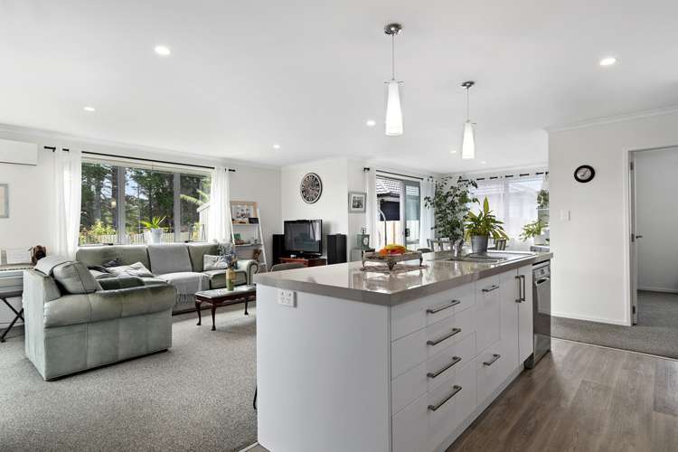 162 Waihi Road Judea_2