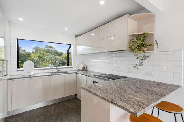 68A & 68B Sayegh Street St Heliers_2