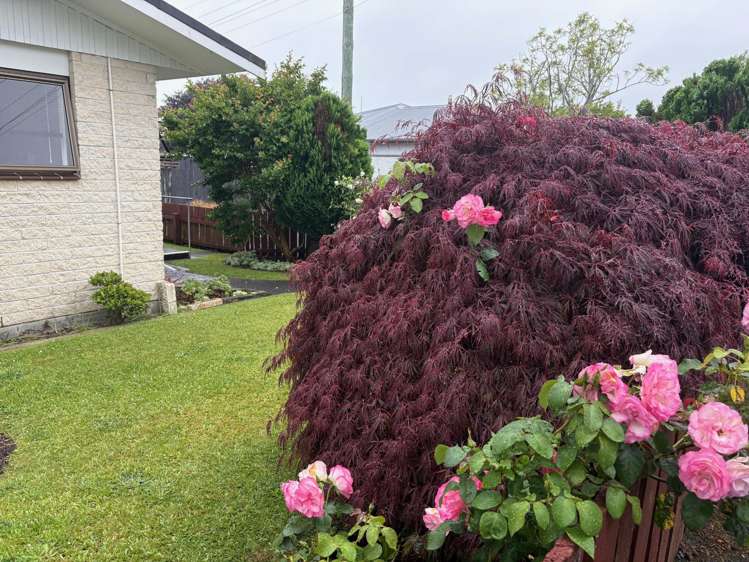 1/14 Burns Street Westown_4