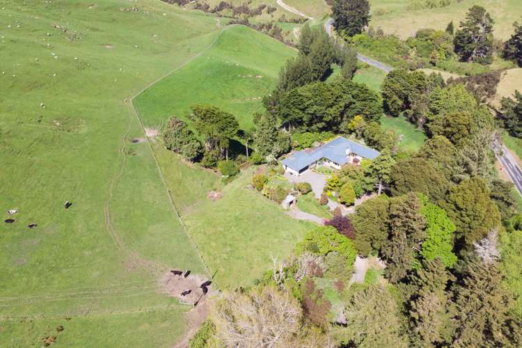 1921 Weber Road Dannevirke_44