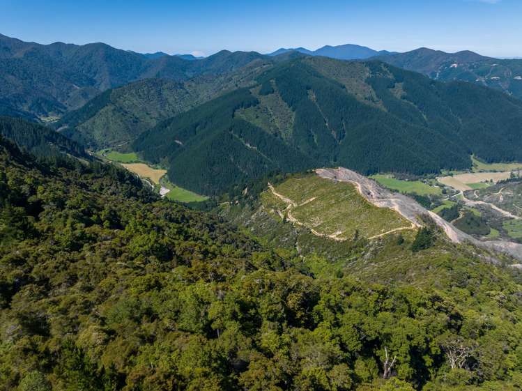 785 Waikakaho Road Tuamarina_37