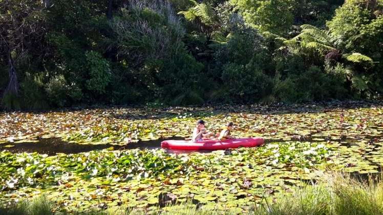 211 Onemana Drive Onemana_13