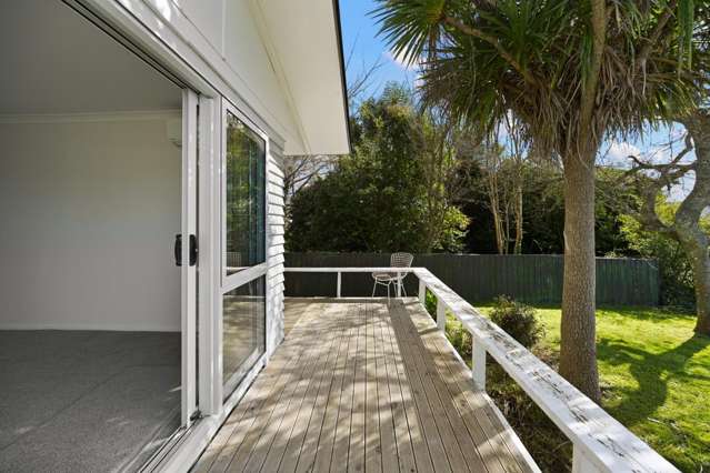 11 Dalesford Street 1146_2