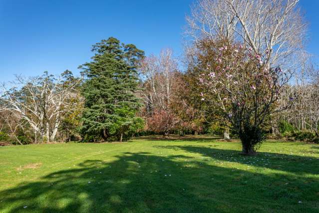 165 Kelso Lane Coromandel_3