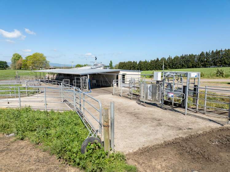 661 State Highway 27, Hinuera Okoroire_13