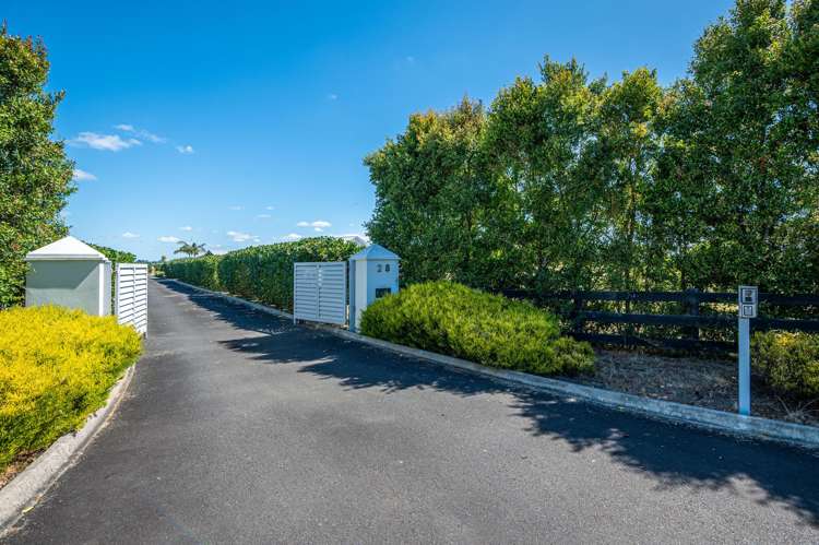 28 Clifton Road Whitford_36