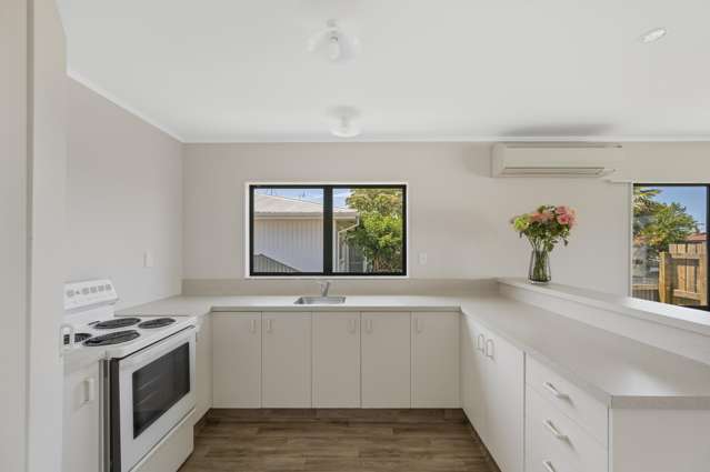 179A Guppy Road Taradale_1
