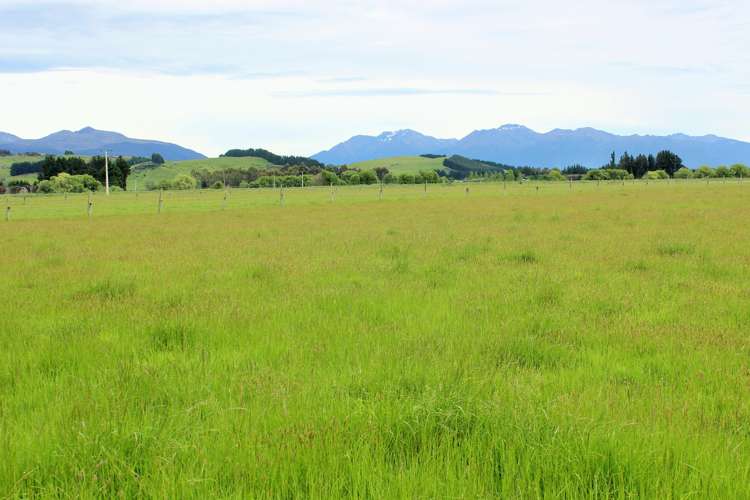 105 Lynwood Road New Lynn_13