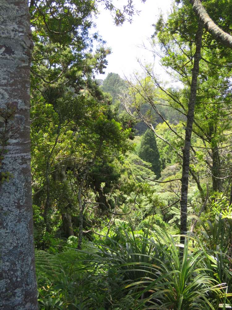 255 Awhitu Central Road Awhitu_9