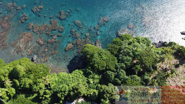 Address withheld Taveuni_3