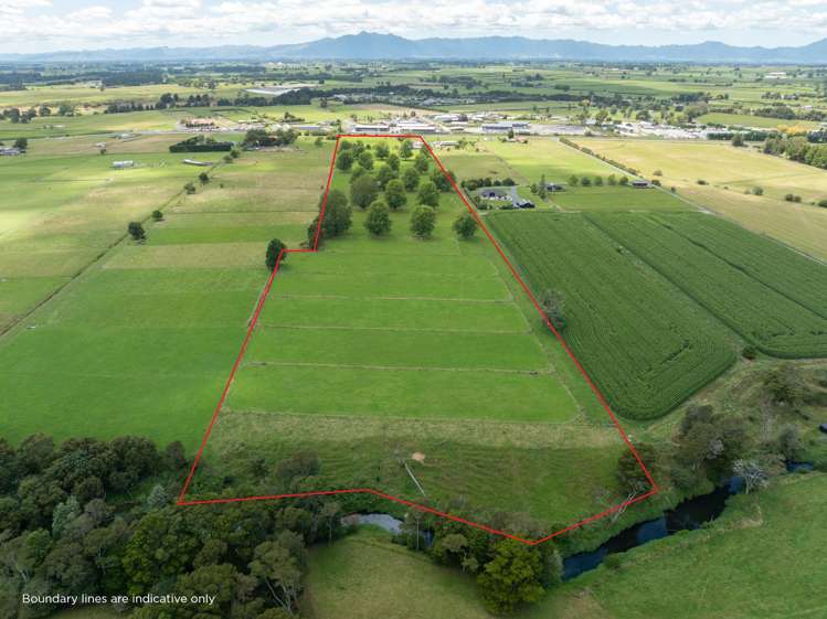 222 Morrinsville-Walton Road Morrinsville_24