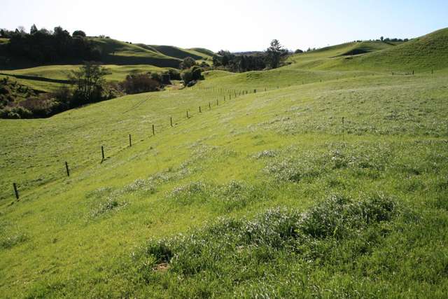 971 Richmond Road Lepperton_2