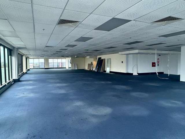 218 Anglesea Street Hamilton Central_3