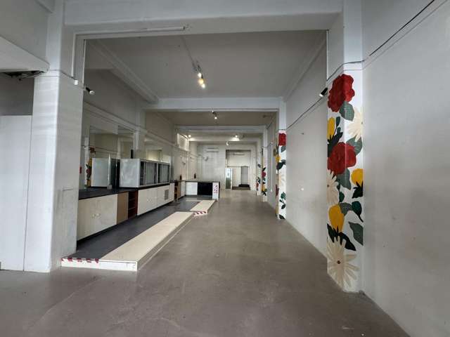 18 Hastings Street Napier South_1