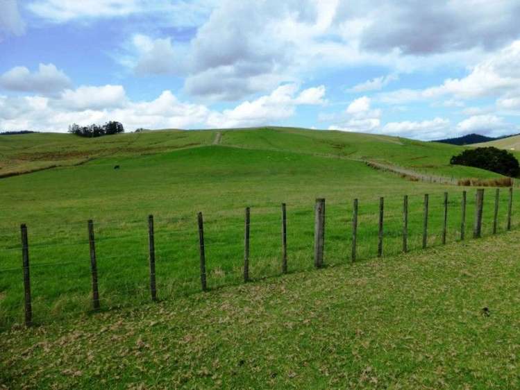 1577 Tangowahine Valley Road Dargaville Surrounds_17