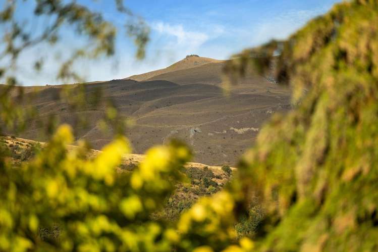 24 Thomson Street Arrowtown_22