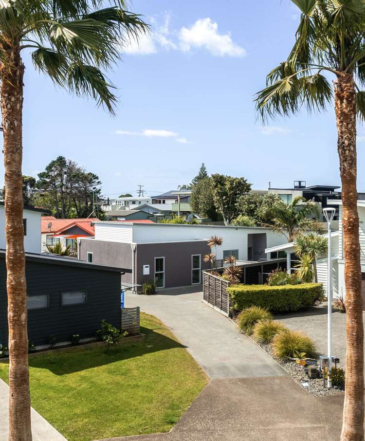 12 Palm Grove Waihi Beach_52